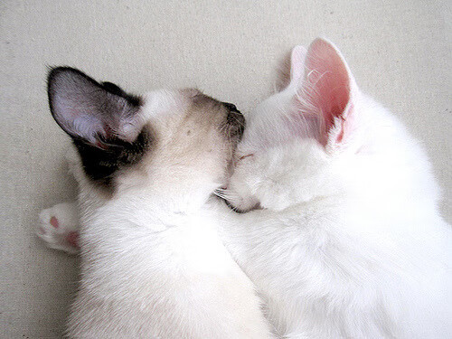 中超联赛中国队逆转 球员评分受到肯定，中超联赛转会名单