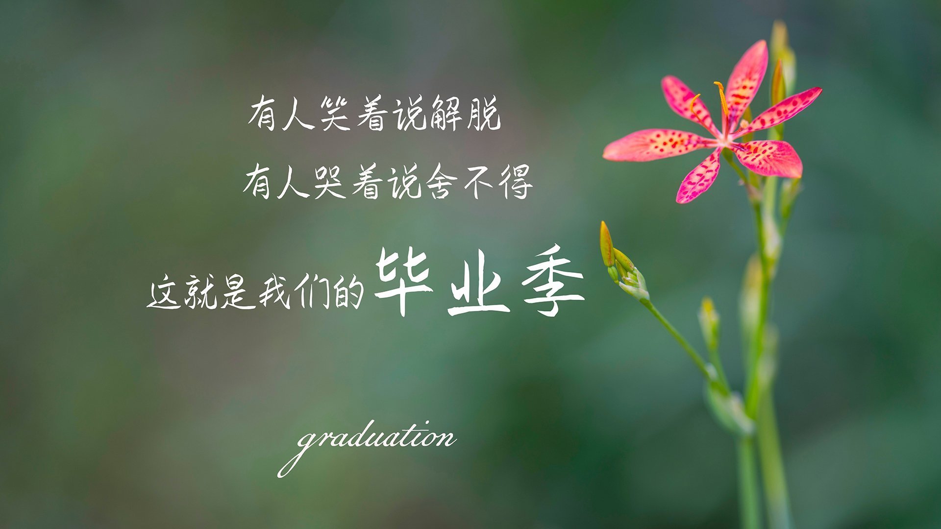 罚球线附近的进攻战术多样化趋势，罚球线足球