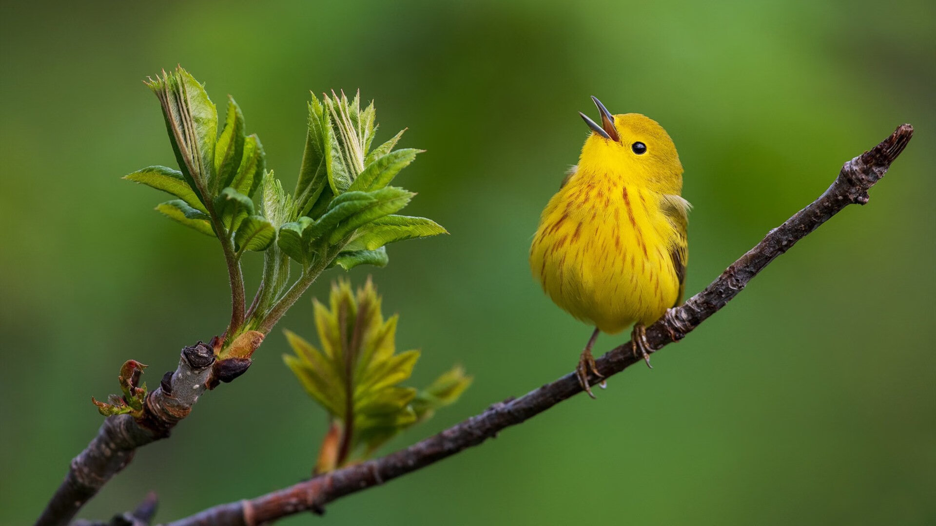 选手赛前热身流程标准化科学备赛成趋势，赛前热身的好处