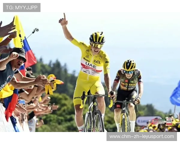 欧洲自行车赛骑手迎来环法终点，欧洲自行车大国